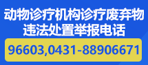 W020251001733976397623.png