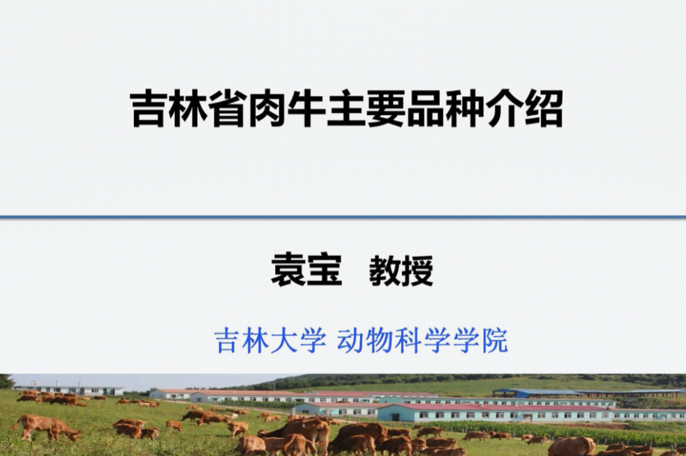 QQ截图20210813173921.png