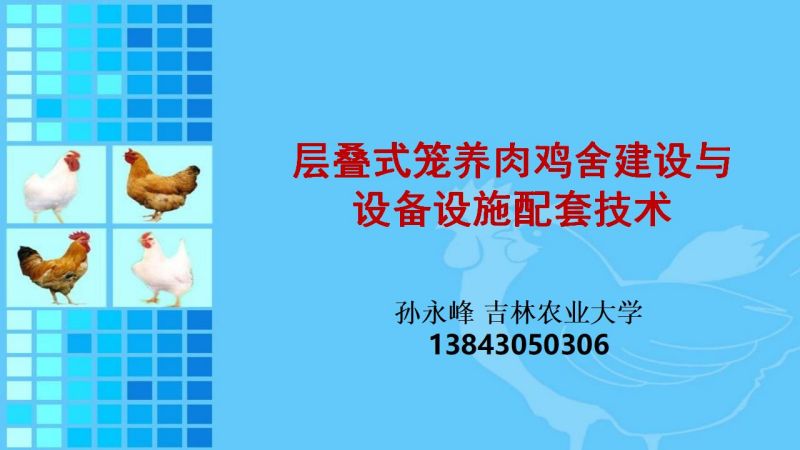 层叠式笼养肉鸡舍建设与设备设施配套技术_01.jpg